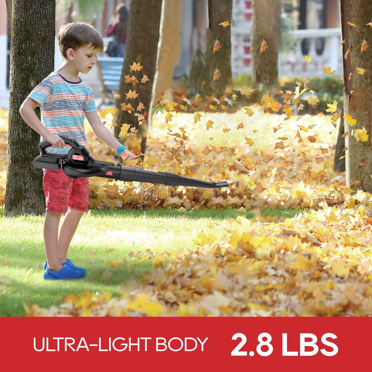 Ecomax Cordless Hand-Held Leaf Blower